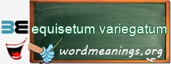 WordMeaning blackboard for equisetum variegatum